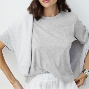 AYR gray cropped tee shirt